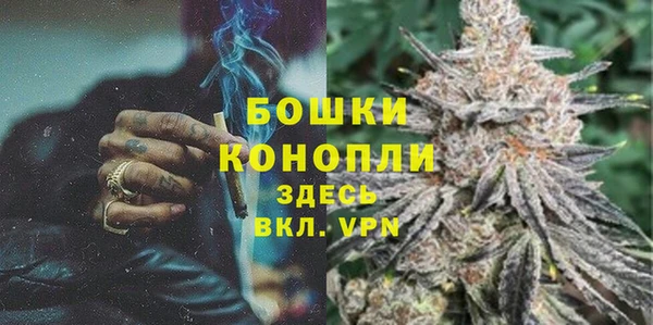 трава Арсеньев