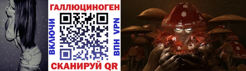 гидра ТОР  Ясный  Галлюциногенные грибы Magic Shrooms  купить закладку 